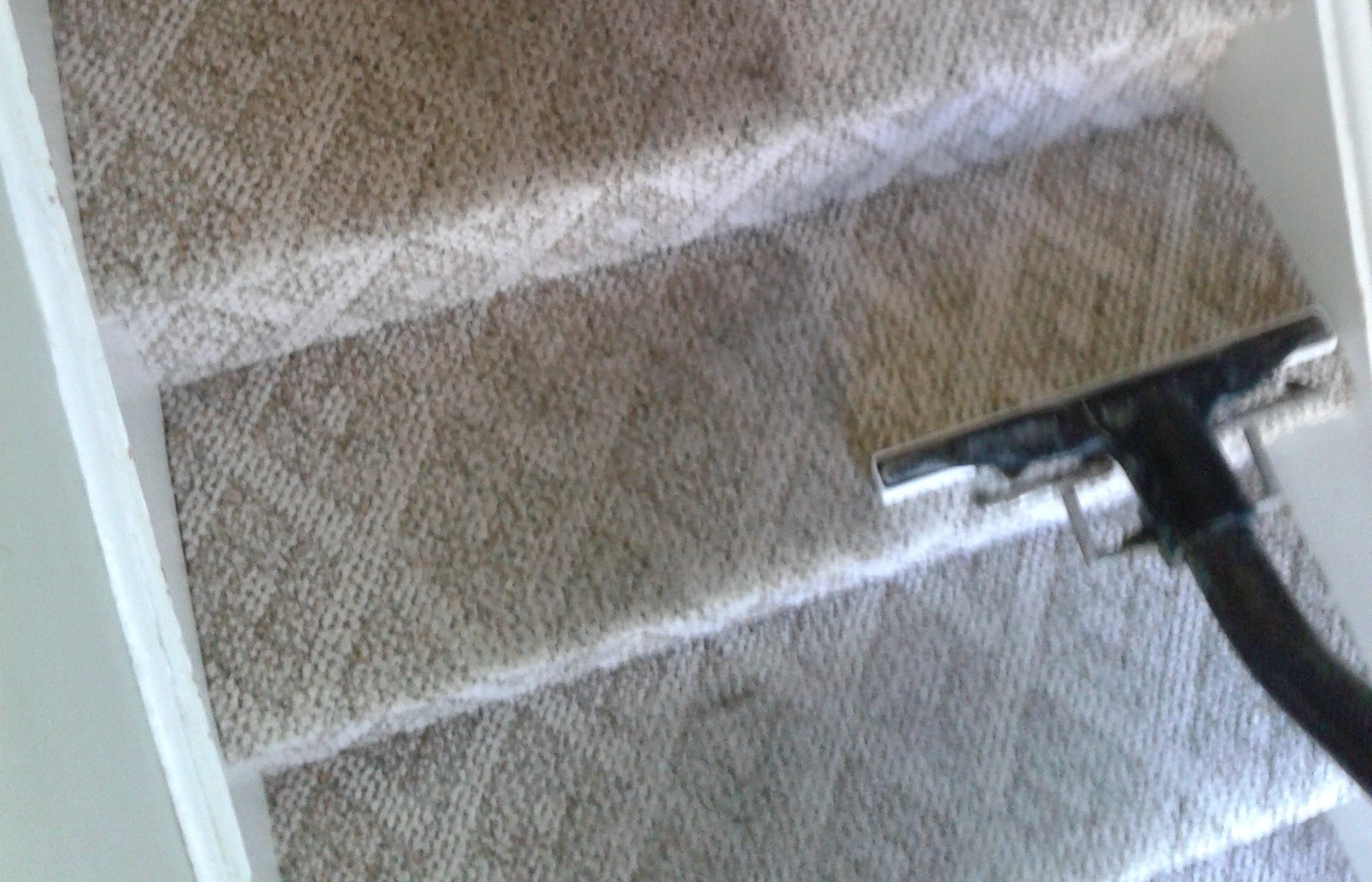 Carpet Steam Cleaning Company in Adelaide Commercial Carpet Cleaner