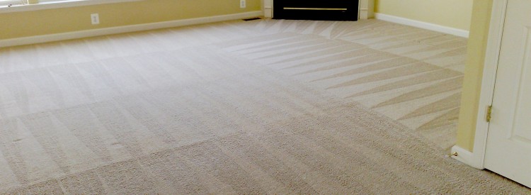 Carpet Cleaning