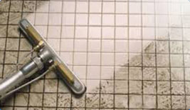 Tile and Grout Cleaning Adelaide