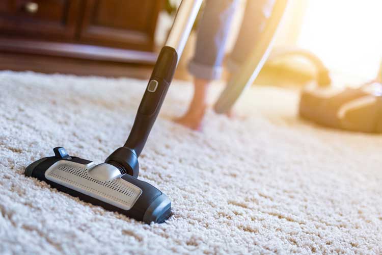 Carpet Cleaning Adelaide