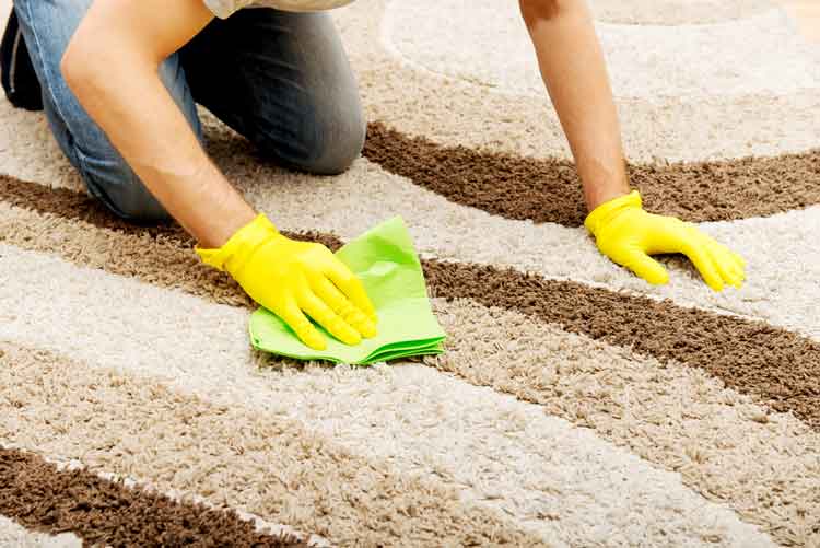 Carpet Cleaning Maintenance