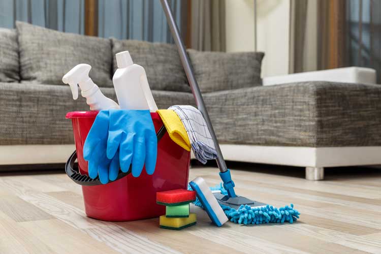 Professional Upholstery cleaning Services