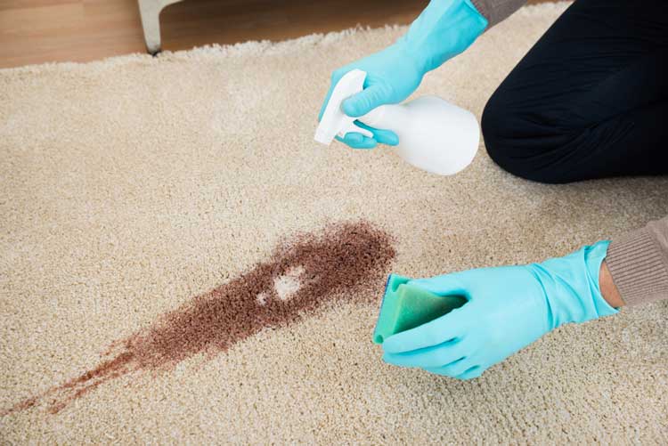 Cleaning Stains from Carpet