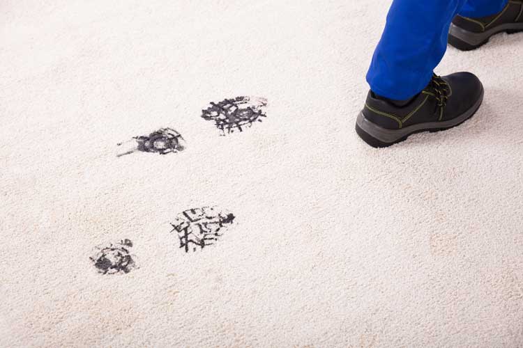 Carpet Soiling Cleaning