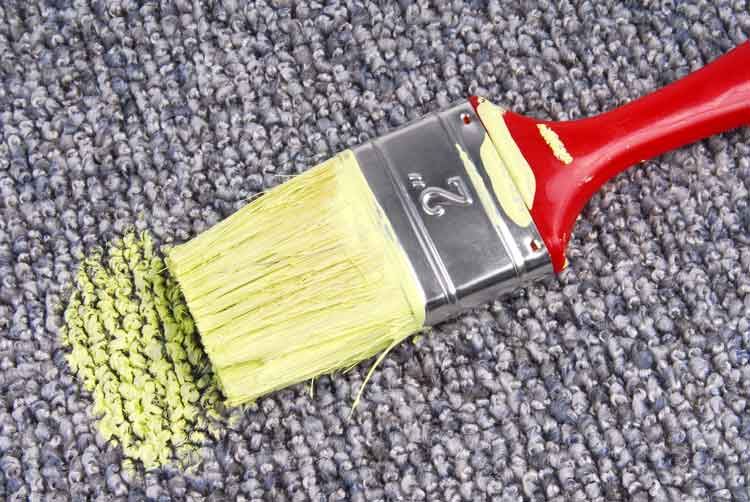 Remove Paint Stains on Carpet