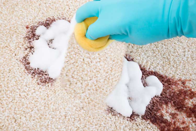 Carpet Cleaning Methods