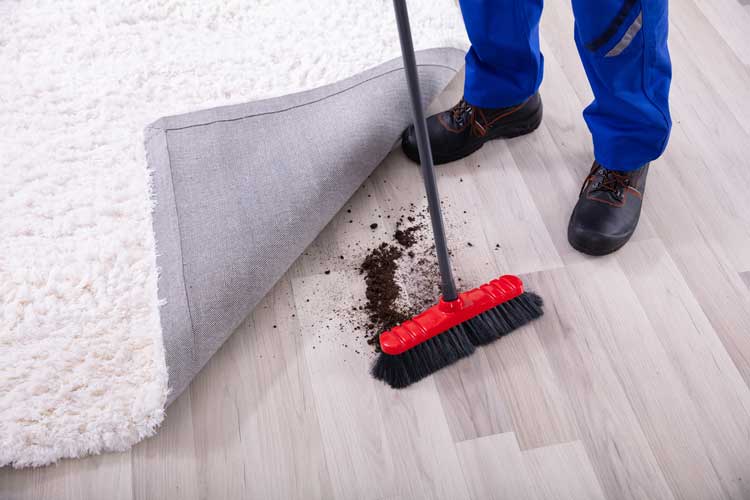 Hiring Professional Carpet Cleaning Service