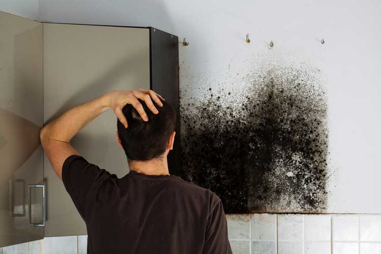 How to Remove Mold