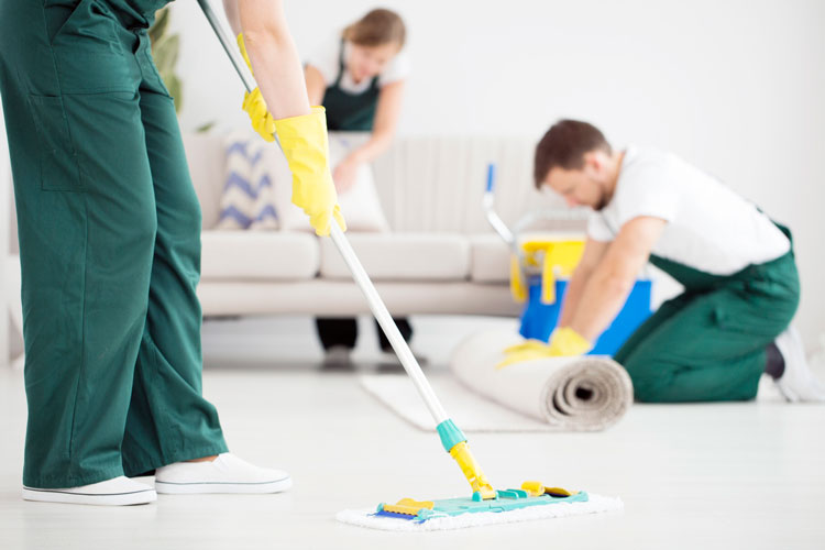 Carpet Cleaning Expert Adelaide