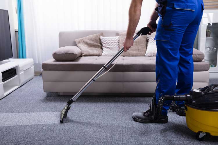 Best Carpet Cleaner