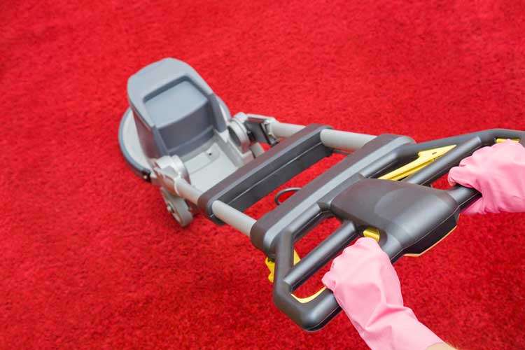 Carpet Cleaning Companies