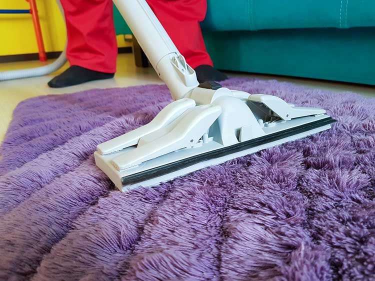 Best professional carpet cleaners