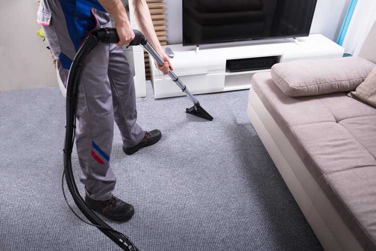 Carpet Deep Cleaning