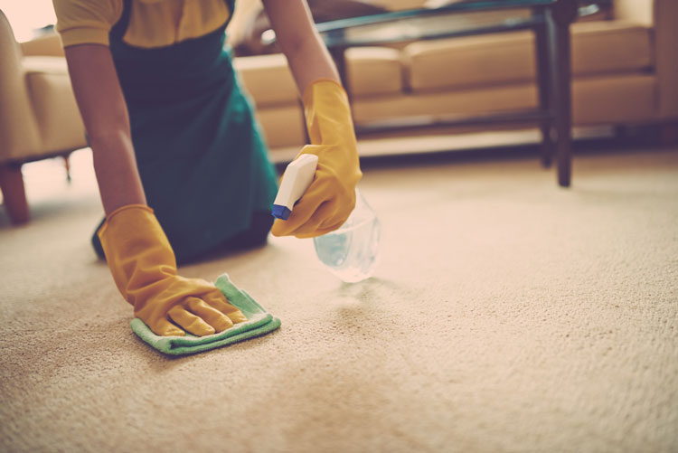 The Importance of Hiring Professional Carpet Cleaning Services